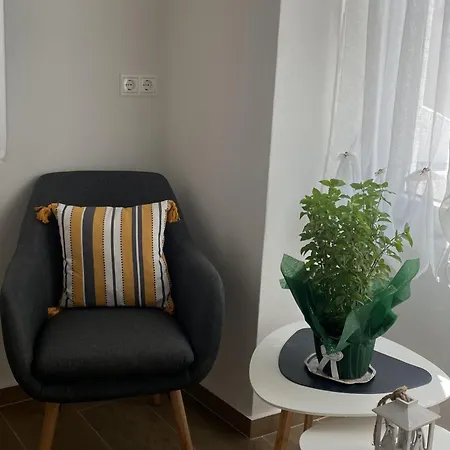 Metaxana Chatzirados