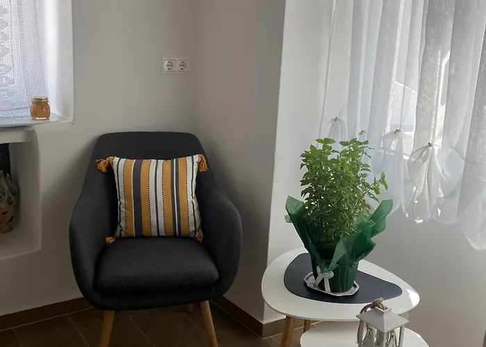 Metaxana Chatzirados